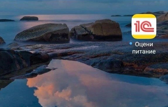 Мобильное приложение «Оцени питание».